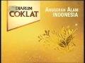 Indosiar Djarum Coklat