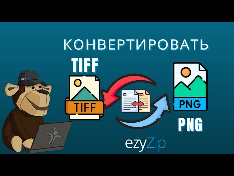 Как Конвертировать TIFF В PNG За Секунды!