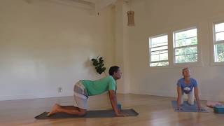 Gentle Yoga Twist full 60min with Mary Bastien