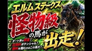 【エルムステークス2026】ウェイワードアクトはGⅠ級！？圧勝続きの鉄板候補を徹底分析