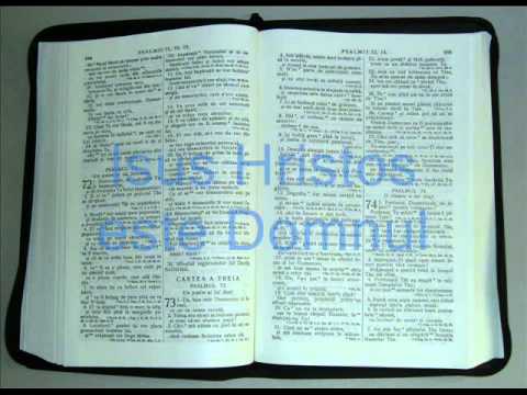 19 - PSALMI - Cartea a Treia - Vechiul Testament - Biblia Audio Romana