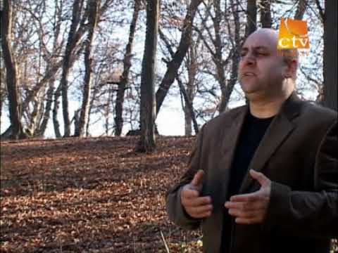 Arman Ludovic - Poate-i ultima chemare