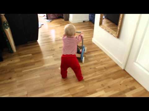 Elliot, 9 mån, med sin älskade gå-vagn (gibson.nu)