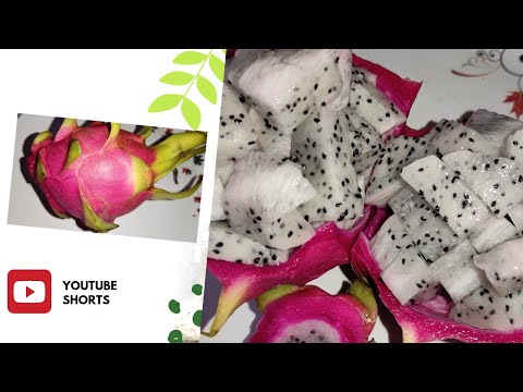 How to cut a Dragon fruit  | Pitaya | #shorts | Srujana Vlogs | 2021| #jabardast