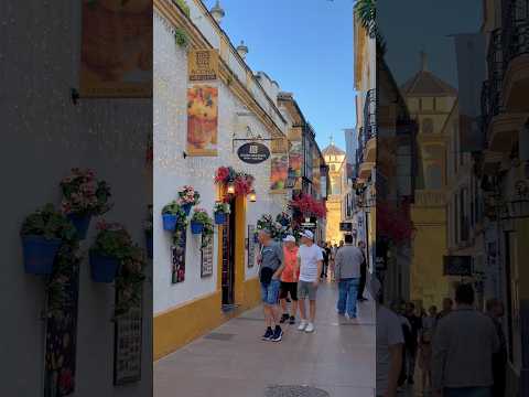 Paseando por las calles de Córdoba ❤️ #cordoba #andalucia #travel #history #xyzbca #españa #art