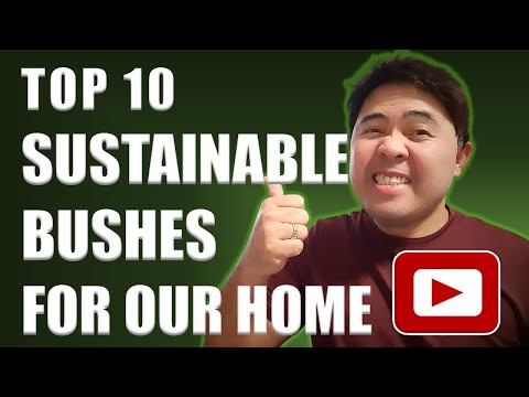 TOP 10 SUSTAINABLE BUSHES FOR OUR HOME