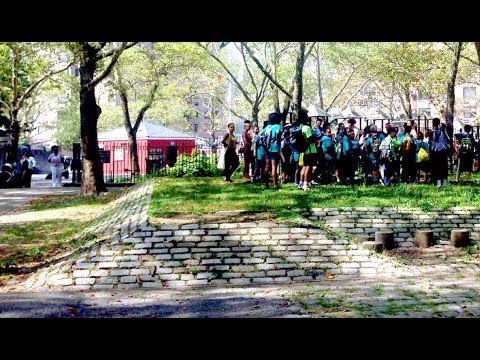 Preserve the History of Fort Greene Park