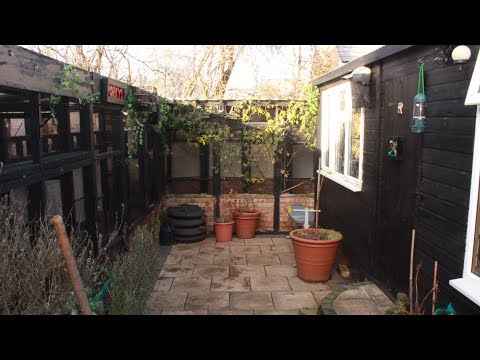 HERES A LOOK AT MY DADS BREEDING SUCSESS OF MULES HYBRIDS 2010😍