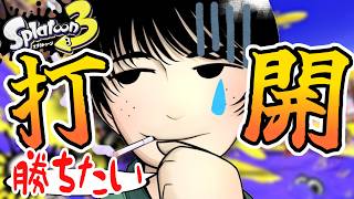 【スプラ3 / .52ガロン】秋の夜長にちょっとだけ【スプラトゥーン3】