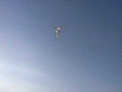 A Vapor Video by John Welden