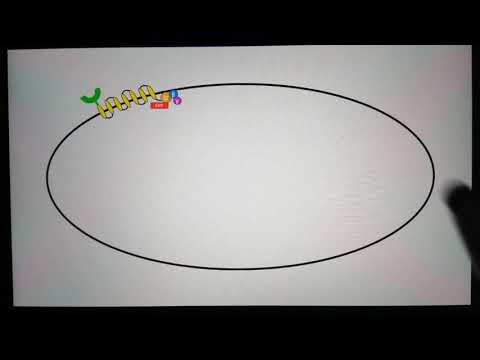1. normal electrophysiology of the heart (part 3)