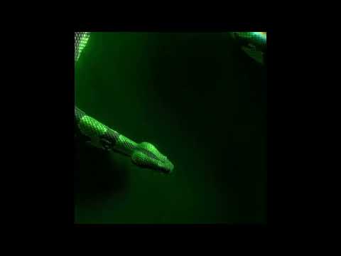 [FREE FOR PROFIT] xxxmanera x tripseller x siouxxe sixxsta & yeat (TYPE BEAT) [prod. wxsty]