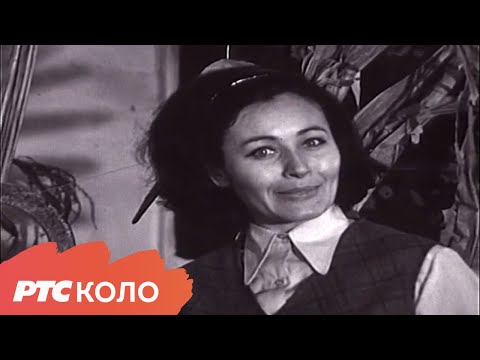 Tri jabuke i pola - Nada Vodeničar