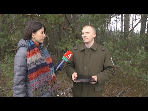 Лес не рубяць, адходы ў рэку не кідаюць. У інтэрнэце - чарговы фейк видео