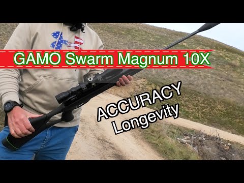 Gamo Swarm Magnum 3i 10x .22 Pellet Gun Rifle Review (Accuracy & How Long/Many Shots Does It Last?)