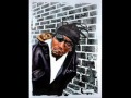 Old Dirty Bastard Shimmy Shimmy Ya Mordecai Funky Remix