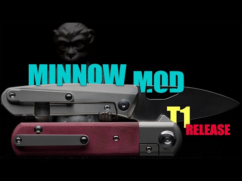 MINNOW MOD & REATE T1