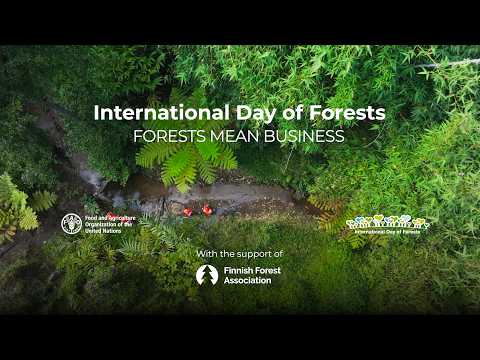 United Nations | Peace, dignity and equality <BR>on a healthy planet