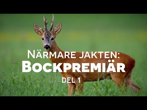 Närmare Jakten - Bockpremiär del 1 | BRA JAKT