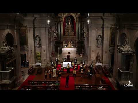 In Noctem, Nicholas Hooper, Arr. Jorge Louro Mota | Coro Médico de Lisboa