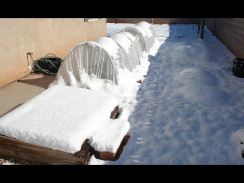 3 Season Cut & Come Again Garden Introduction