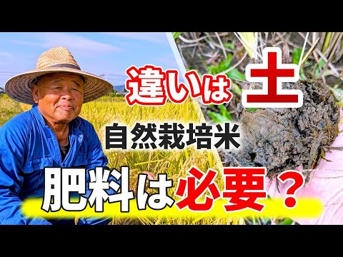 これらの肥料は本当に必要です