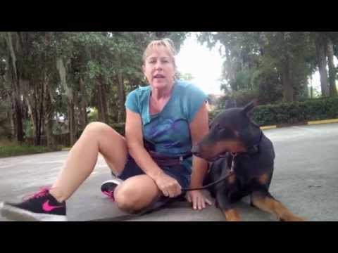 Luca — Teaching heel Port Orange: day 2