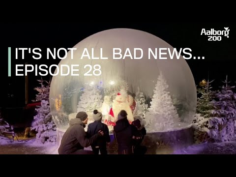 It's not all bad news... episode 28