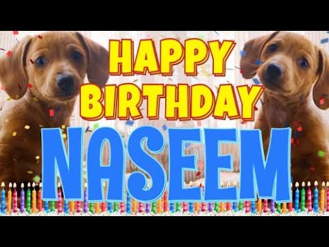 Happy Birthday Naseem! ( Funny Talking Dogs ) What Is Free On My Birthday