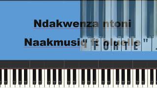 Ndakwenza Ntoni - naakmusiq ft bluelle (piano tutorial)