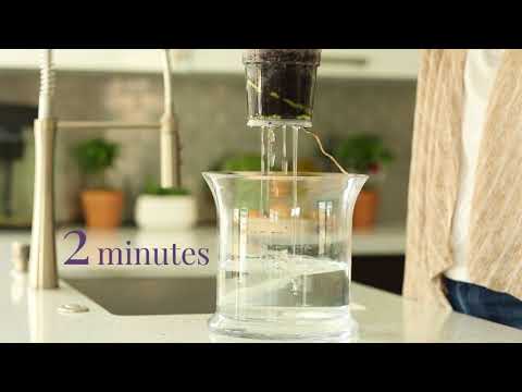 How do I water my Mystique Orchid?