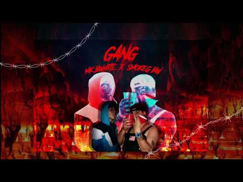 MK x SMOKEG BW - GANG (audio oficial)