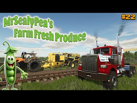 WHAT AFFORDABLE HARVESTERS CAN I USE?! SUNSHINE FOREST Farming Simulator 25.