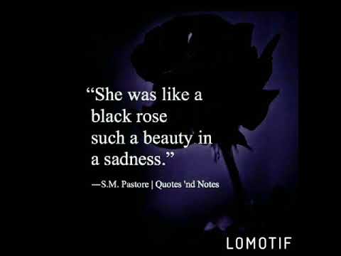 download lagu mp3 mp4 Blackrose She Is So Beautiful, download lagu Blackrose She Is So Beautiful gratis, unduh video klip Blackrose She Is So Beautiful
