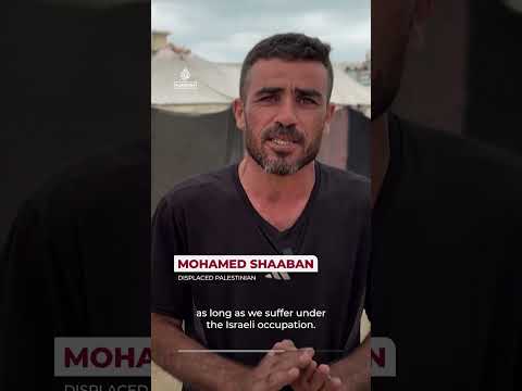 ‘Who will represent us?’ Palestinians react to election delay