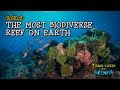 Most Biodiverse Reef on Earth: Atauro Island [4K] | Timor-Leste from Below (S01E03) | SZtv, Ost Timor, Osttimor