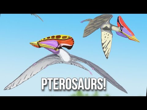 Pterosaurs!: Evolution of Flight in Reptiles