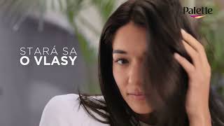 Schwarzkopf Palette číslo jedna vo farbách na vlasy na Slovensku