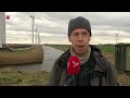 Zeearend 'Spike 20' slachtoffer van het groeiende woud aan windmolens