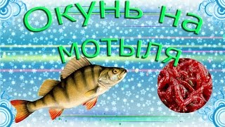 Ссылка