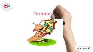 Miniature de la vidéo