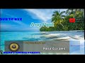 Ang Pipit- Pilita Corales (Karaoke)