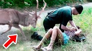 Muž zaútočil na mladou dívku v lese, ale najednou se zpoza stromů vyřítil rozzuřený jelen...