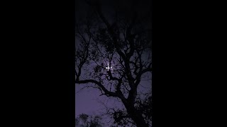 Fourth of July - Sufjan Stevens | 1 Hour Loop