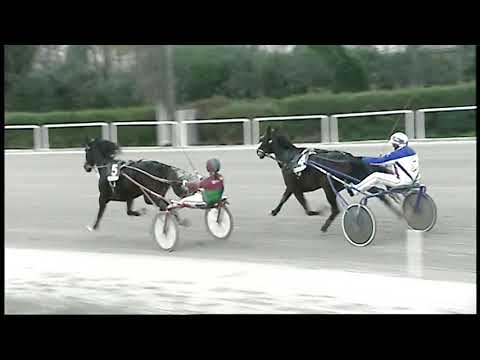 Trotto 04/12/2020 - 6ª corsa