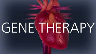 Learn how Tenaya’s TN-201 gene therapy for MYBPC3-associated HCM works