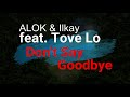ALOK & Ilkay Sencan feat Tove Lo Don't Say Goodbye Lyric Video 2020