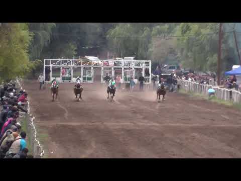 LA POCHI Club Hípico Riveras Neuquinas - Vista Alegre - 22 de Marzo de 2026