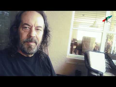 Paul Kitchen | Spin Wide Reel
