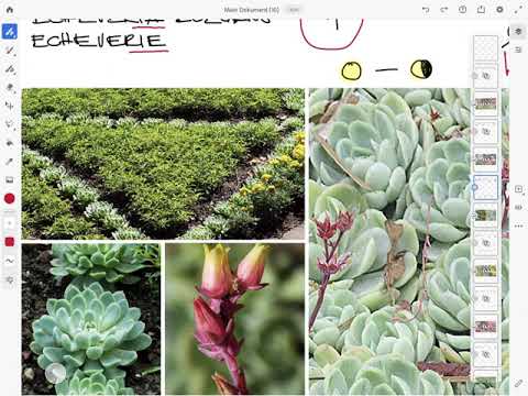 Sommerflor Teil 1, 18.05.2020, 1. Lehrjahr